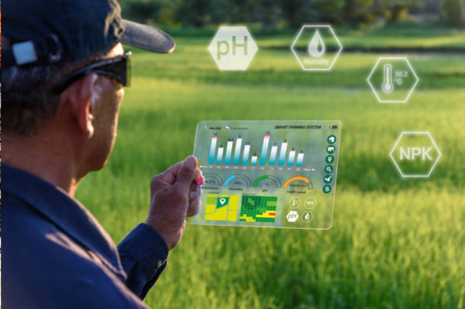 Agriculture Consulting
