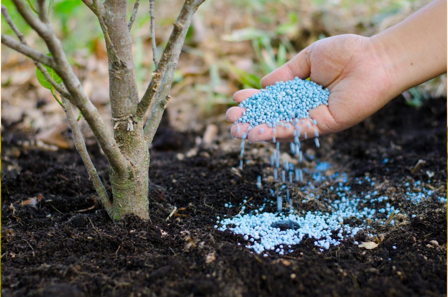 Fertilizer Crop